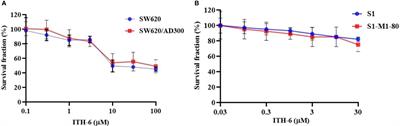 Anticancer effect of Indanone-based thiazolyl hydrazone derivative on p53 mutant colorectal cancer cell lines: An in vitro and in vivo study